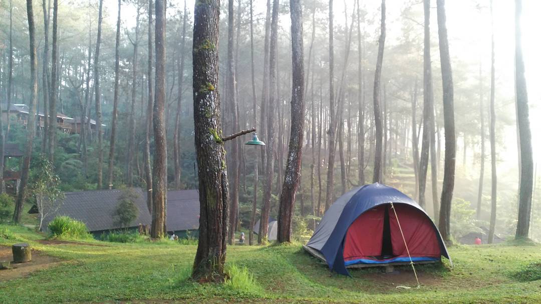 Tempat Camping di Bandung 2020–Outbound Lembang Bandung