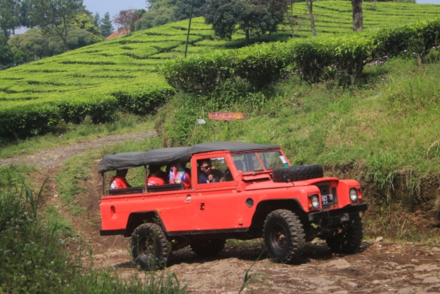 Land Rover Menembus Belantara Offroad Cikole Bandung