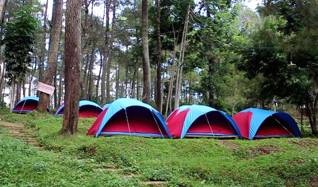 Paket Camping Seru di Bandung-Lembang | Rovers Global Indonesia | EO Bandung