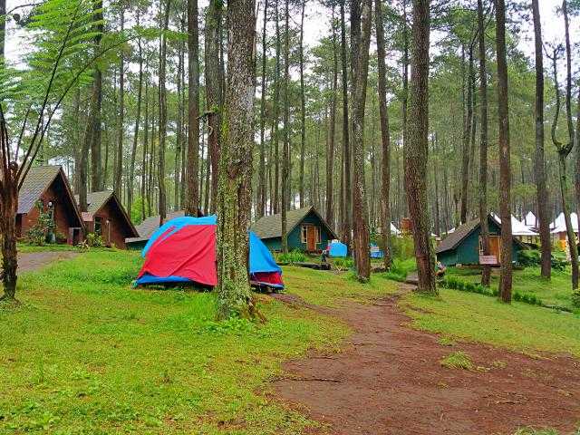 Paket Camping Seru di Bandung-Lembang | Rovers Global Indonesia | EO Bandung